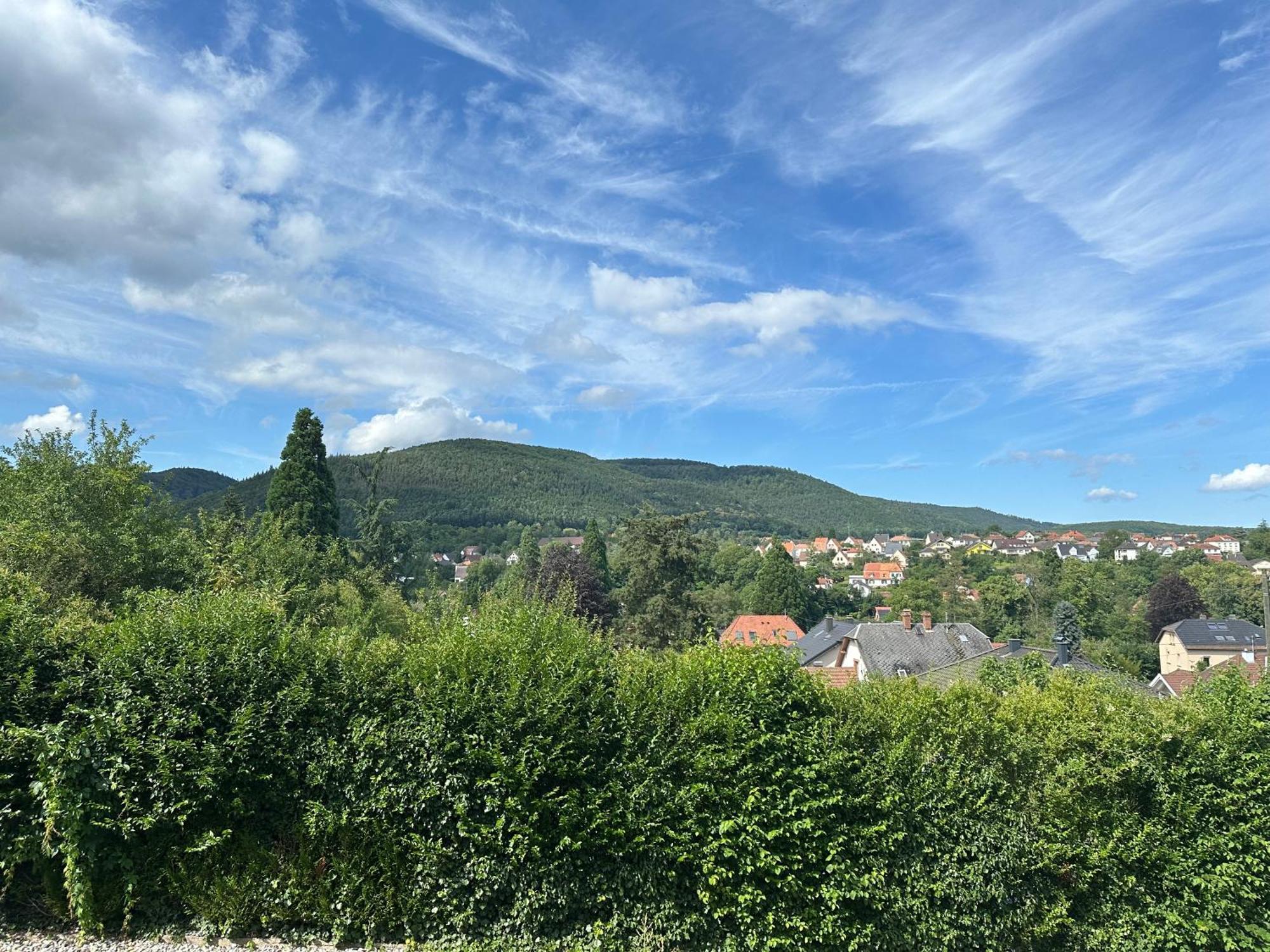 Horizons Du Haut Niederbronn-les-Bains Esterno foto